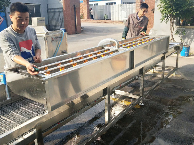 草莓苗噴淋清洗機